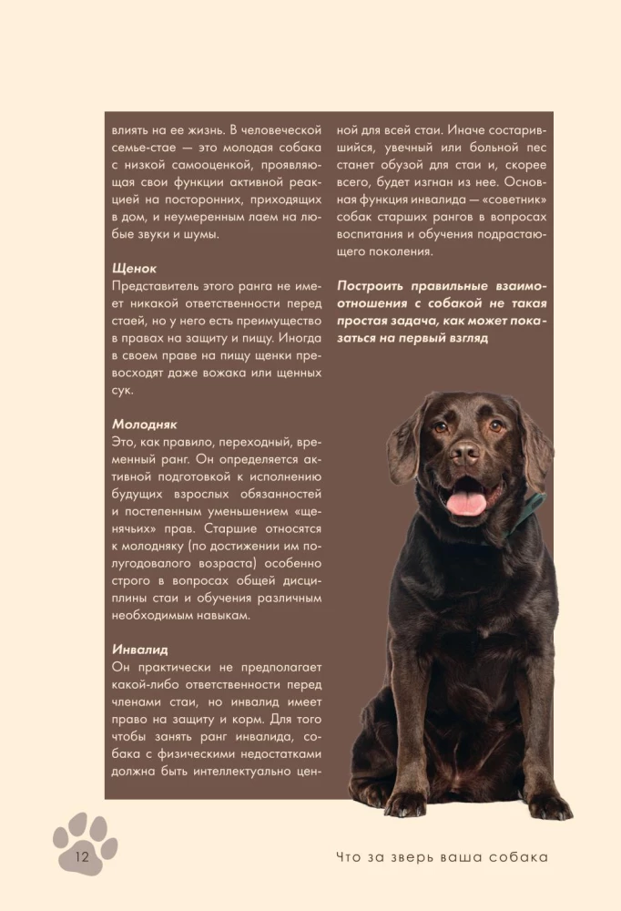 Koeratreening ja kasvatamine