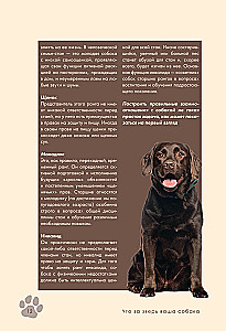 Koeratreening ja kasvatamine