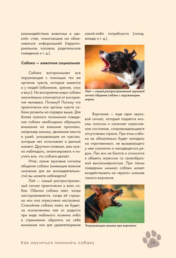 Koeratreening ja kasvatamine