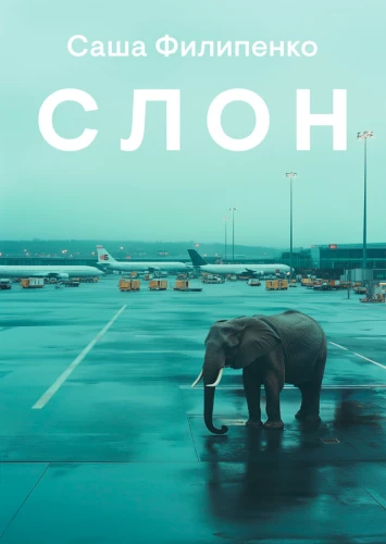 Słoń