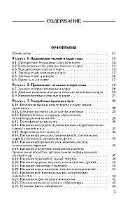 Guide zur russischen Sprache: Rechtschreibung, Zeichensetzung, Rechtschreibwörterbuch