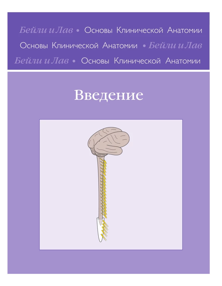Podstawy anatomii klinicznej. Ilustrowany atlas nozologii i patologii