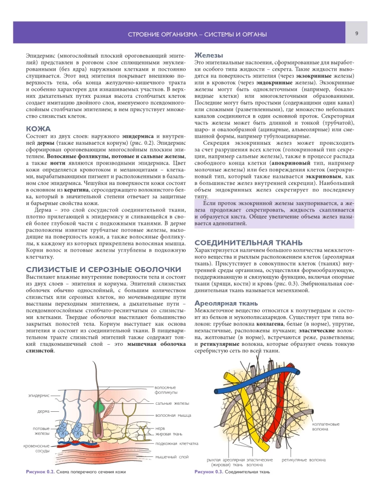 Podstawy anatomii klinicznej. Ilustrowany atlas nozologii i patologii