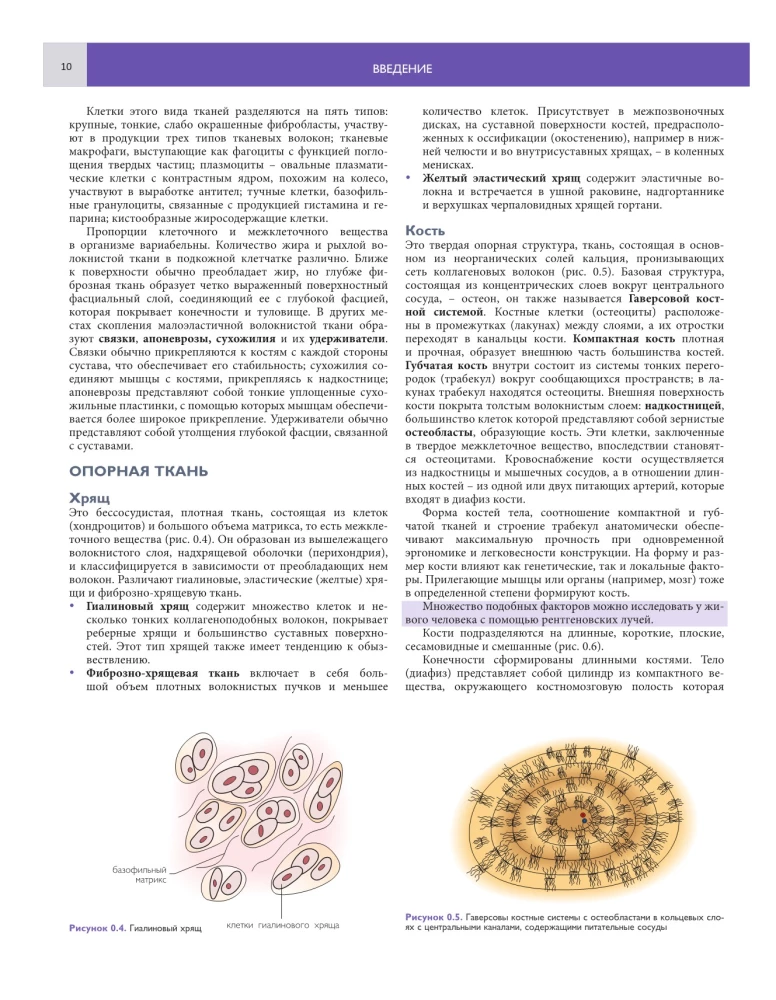 Podstawy anatomii klinicznej. Ilustrowany atlas nozologii i patologii