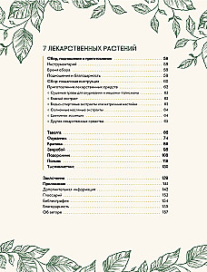 Shamanic Herbalism. The Power of Plants. Recipes from Our Ancestors