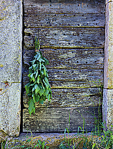 Shamanic Herbalism. The Power of Plants. Recipes from Our Ancestors