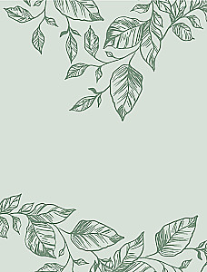 Shamanic Herbalism. The Power of Plants. Recipes from Our Ancestors