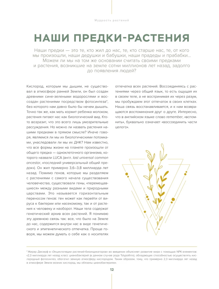 Shamanic Herbalism. The Power of Plants. Recipes from Our Ancestors