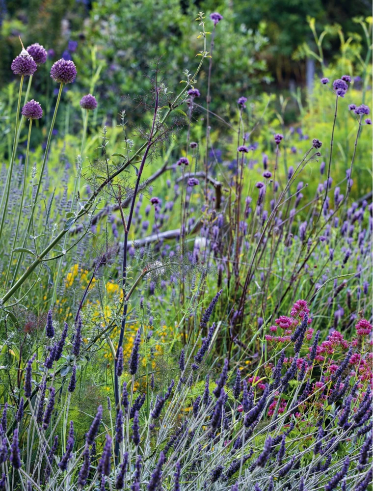 Shamanic Herbalism. The Power of Plants. Recipes from Our Ancestors
