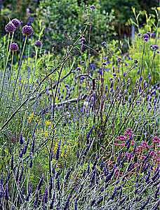 Shamanic Herbalism. The Power of Plants. Recipes from Our Ancestors