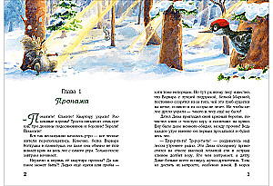 A Million Nuts! Forest Detective