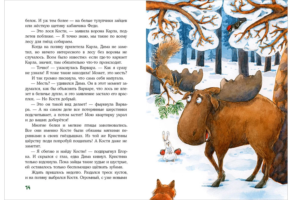A Million Nuts! Forest Detective