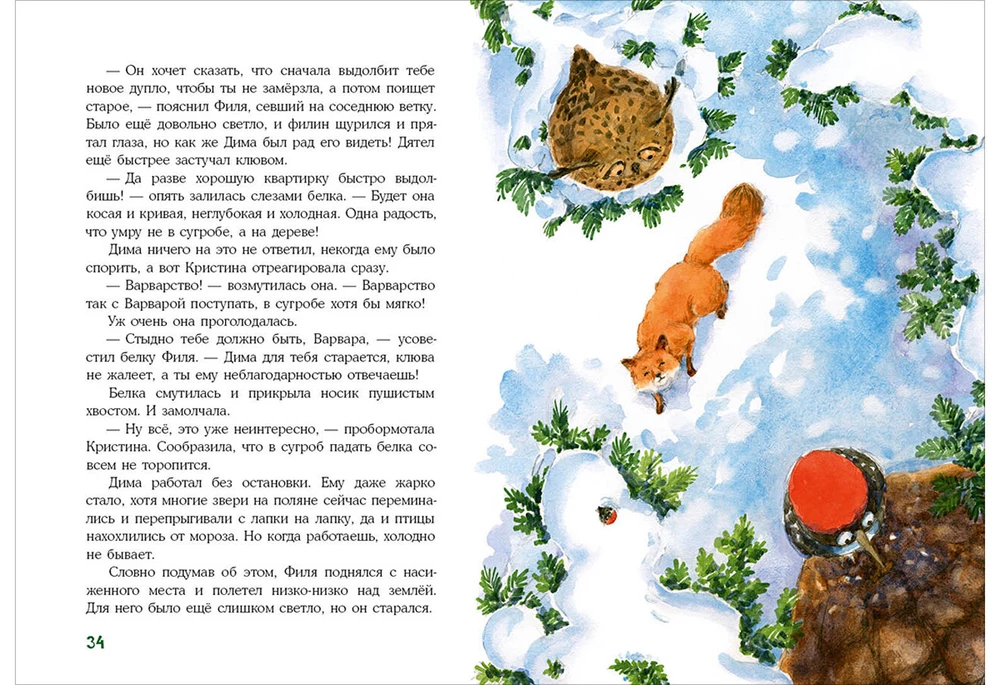 A Million Nuts! Forest Detective