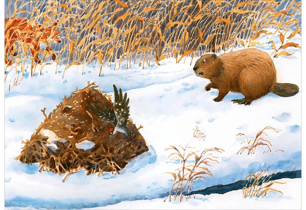 A Million Nuts! Forest Detective