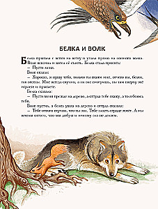 Märchen und Geschichten