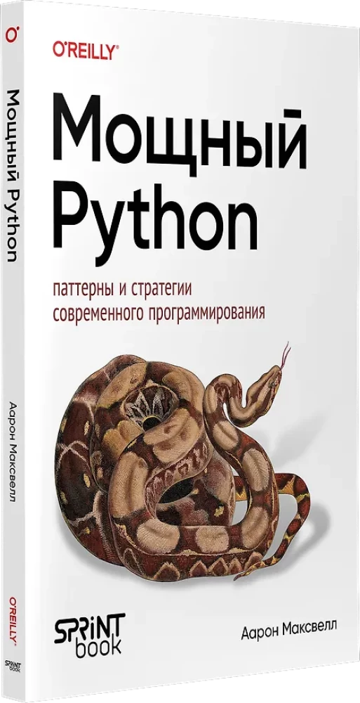 Galingas Python: šiuolaikinio programavimo modeliai ir strategijos