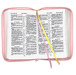 Biblia kanoniczna