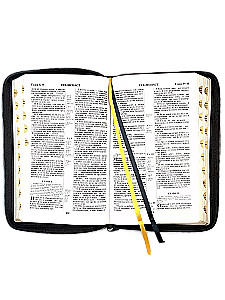 Biblia kanoniczna