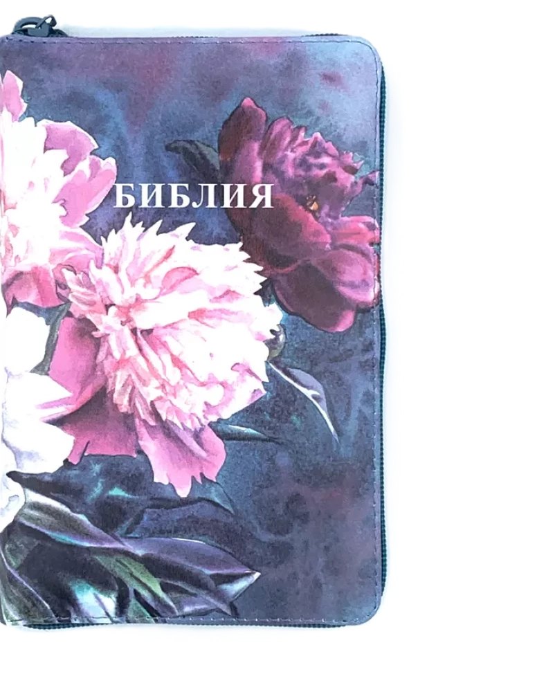 Biblia kanoniczna