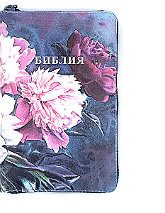 Biblia kanoniczna