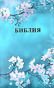 Biblia kanoniczna