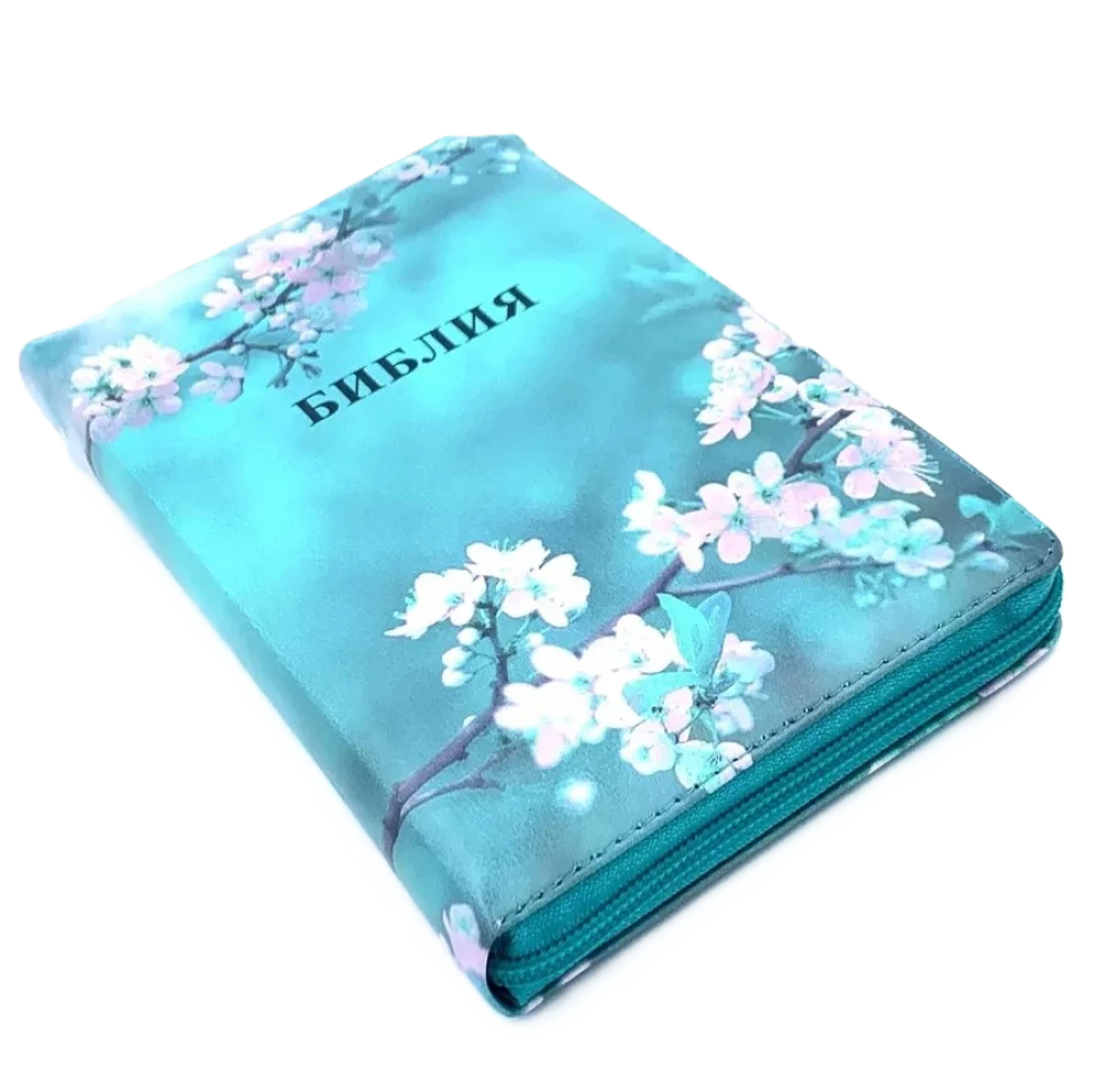 Biblia kanoniczna