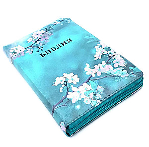 Biblia kanoniczna