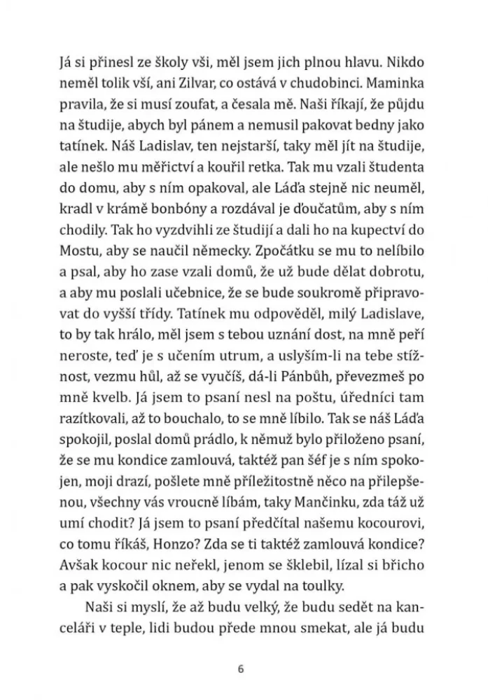 Meid oli viis