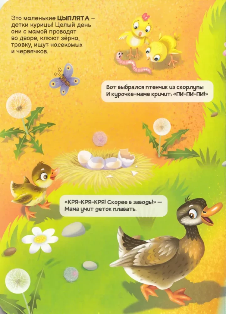 Kleepuvad. Koduloomad