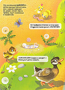 Kleepuvad. Koduloomad
