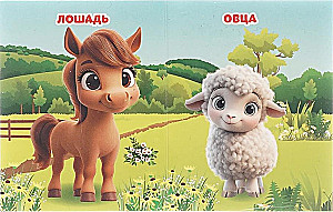 Zwierzęta domowe