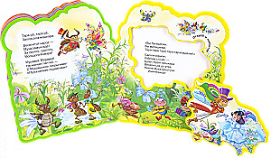 Die Fliege-Tschokotuha