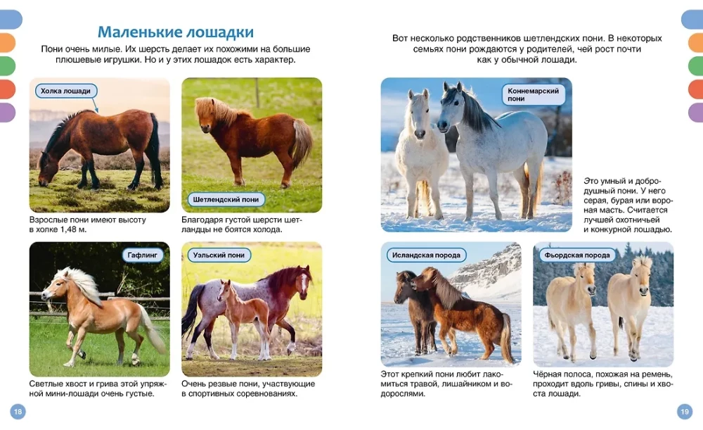 Horses