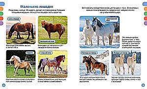 Horses