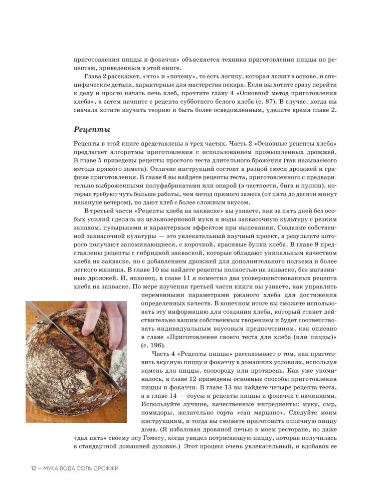 Мука, вода, соль, дрожжи. Безупречные пицца и ремесленный хлеб у вас дома