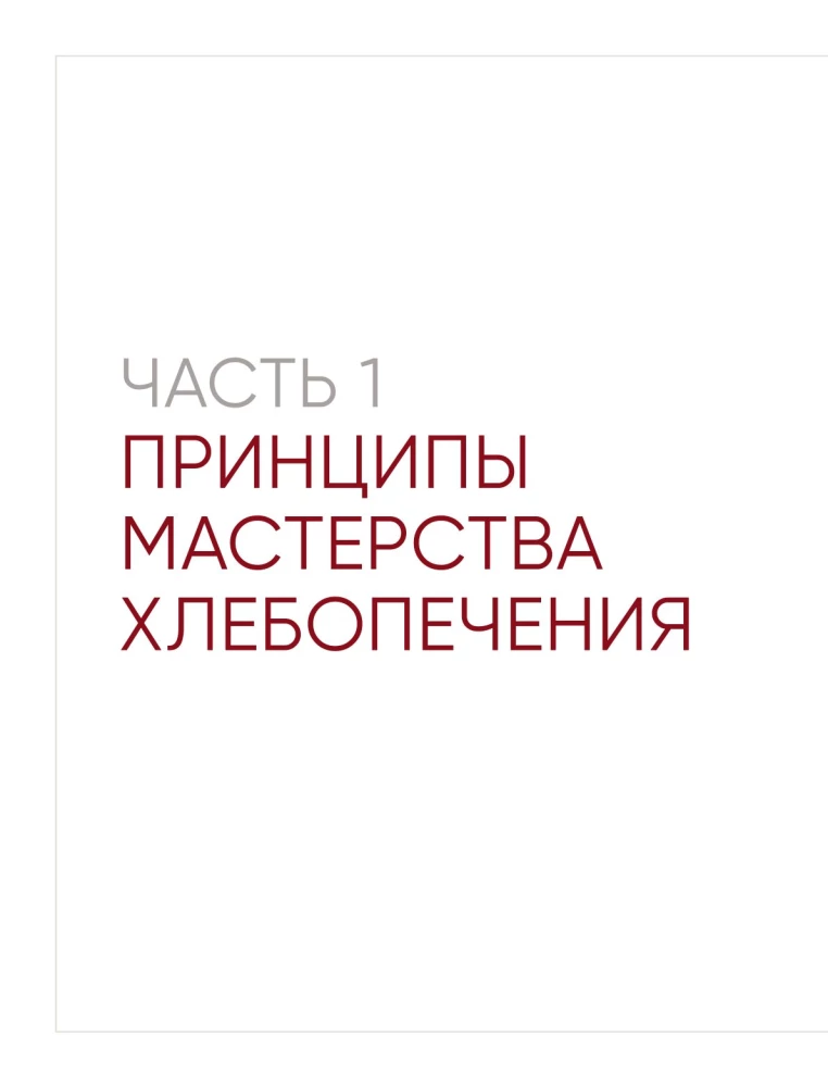 Мука, вода, соль, дрожжи. Безупречные пицца и ремесленный хлеб у вас дома