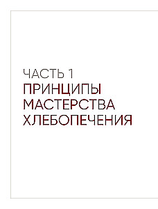 Мука, вода, соль, дрожжи. Безупречные пицца и ремесленный хлеб у вас дома