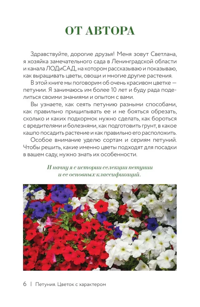Petunia. A Flower with Character. A Cheat Sheet-Tracker for Growing Floral Waterfalls