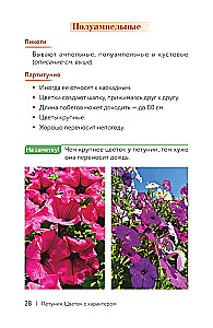 Petunia. A Flower with Character. A Cheat Sheet-Tracker for Growing Floral Waterfalls