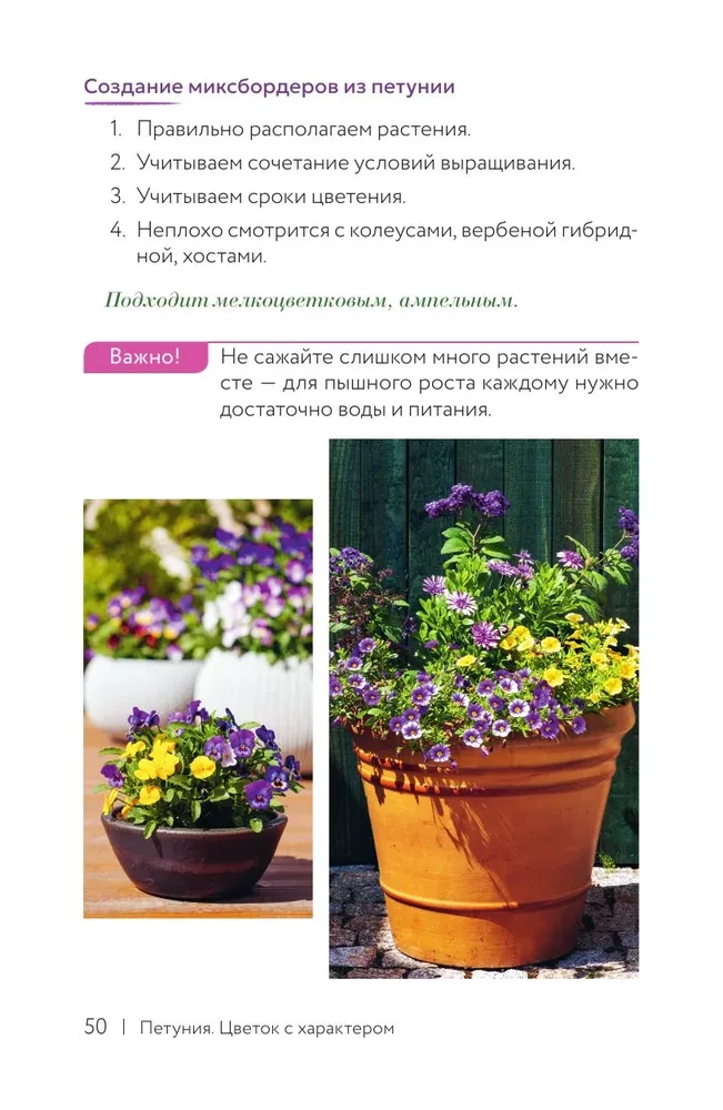 Petunia. A Flower with Character. A Cheat Sheet-Tracker for Growing Floral Waterfalls