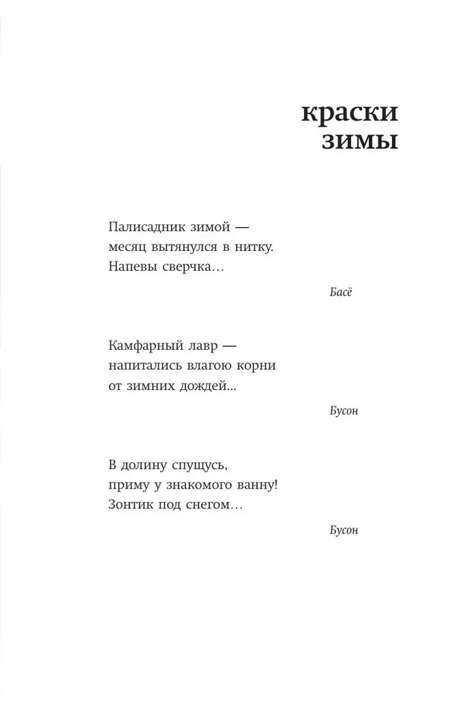 Žiema. Haiku