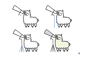 Tiere und Berufe