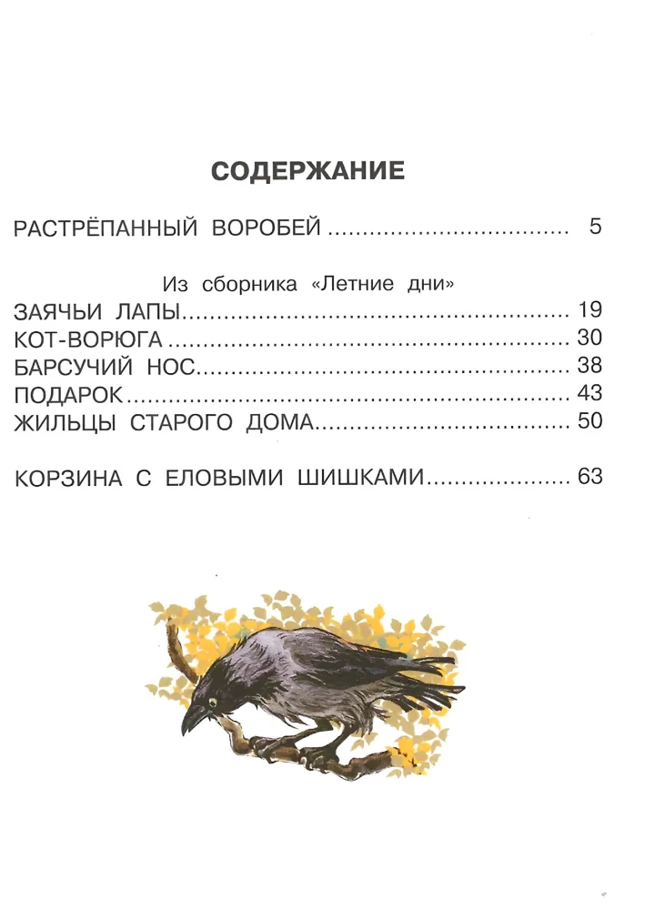 Kosz z szyszkami jodły