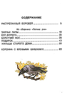 Kosz z szyszkami jodły