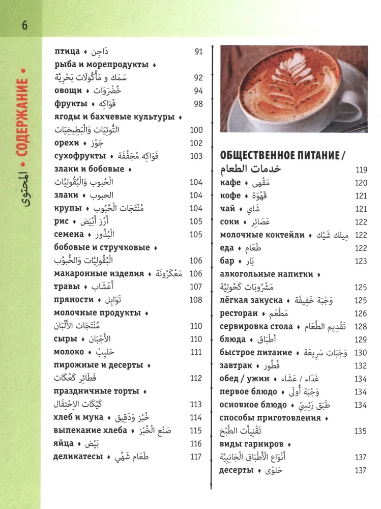 Arabic-Russian Visual Dictionary with Transcription