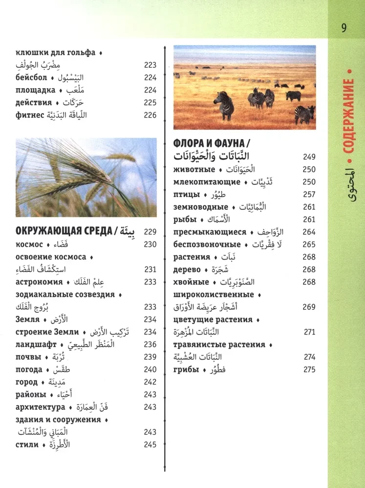 Arabic-Russian Visual Dictionary with Transcription