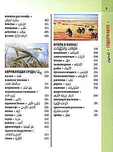 Arabic-Russian Visual Dictionary with Transcription