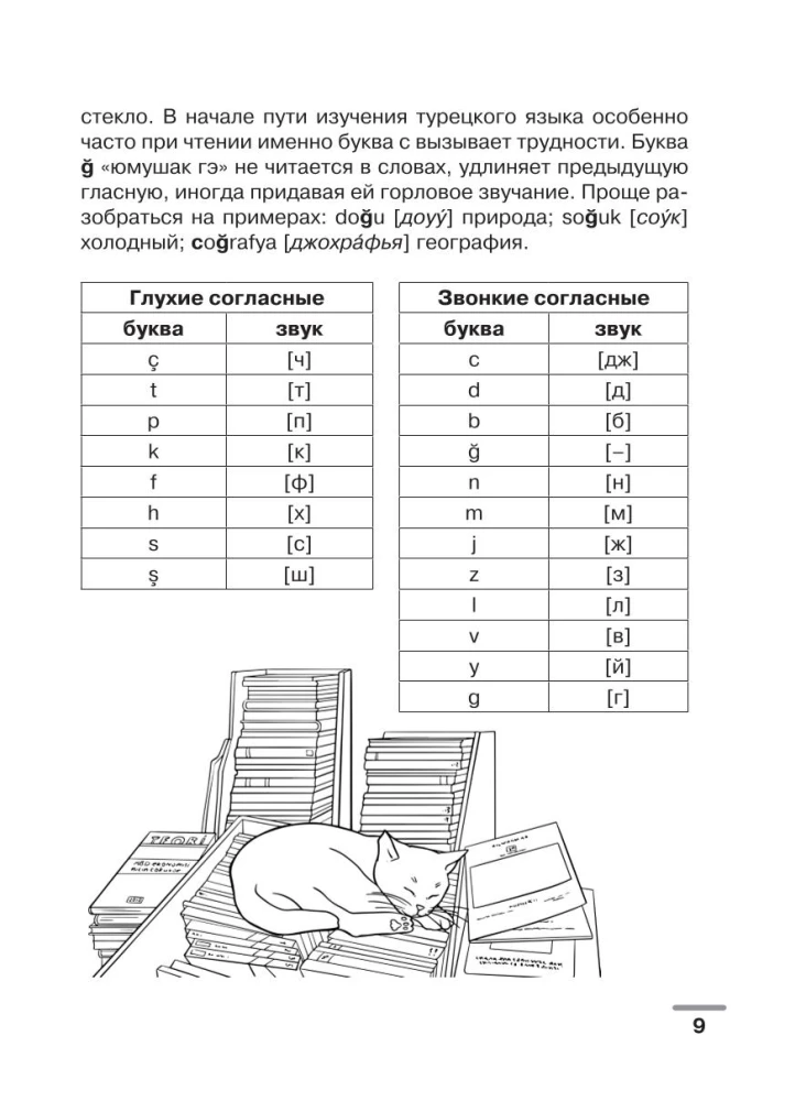 Турецкий язык: визуальный словарь-раскраска