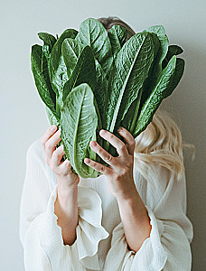 Self-Help Nutritionist. Practical Guide to Nutrition for 14 Days by Alexandra Lempert