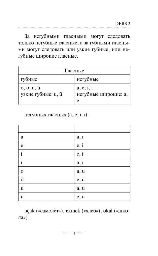Turkish Language Without a Tutor. Self-Study Guide to Turkish Language